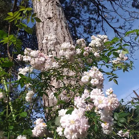 Le Jardin Secret فندق مبيت وإفطار