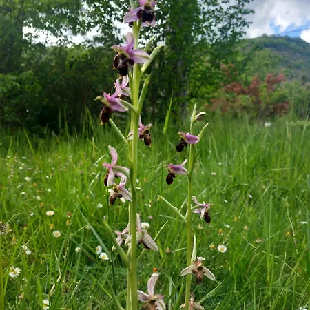 Le Jardin Secret 3* سان أنتونين