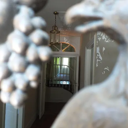 Le Jardin Secret فندق مبيت وإفطار سان أنتونين