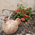 Le Jardin Secret Couette-café Saint-Antonin