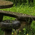 Le Jardin Secret Saint-Antonin