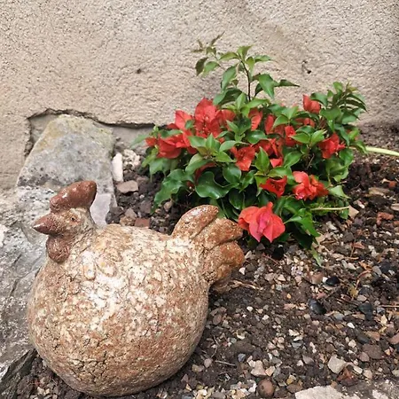 Le Jardin Secret Bed and Breakfast Saint-Antonin