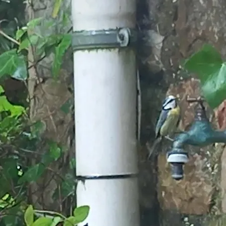 Le Jardin Secret 3* Saint-Antonin