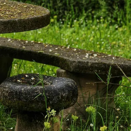 Le Jardin Secret Saint-Antonin-Noble-Val