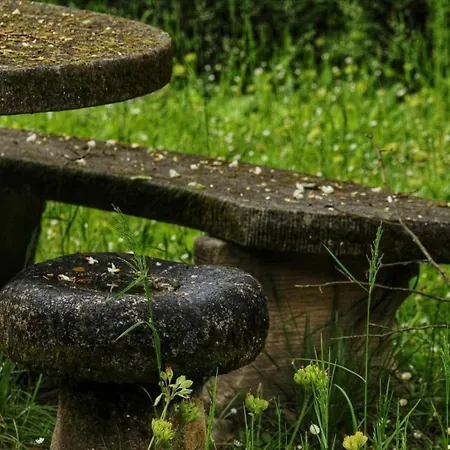 Le Jardin Secret Saint-Antonin