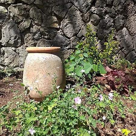 Le Jardin Secret Bed & Breakfast Saint-Antonin-Noble-Val