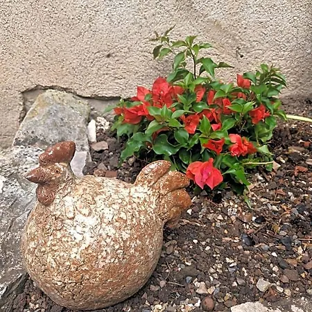 Bed & Breakfast Le Jardin Secret