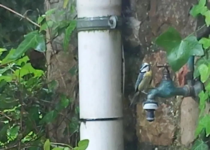 Le Jardin Secret 3* Saint-Antonin