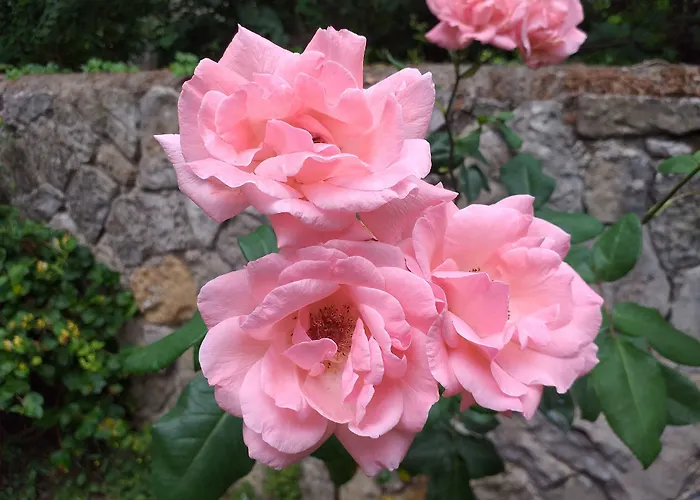 Bed and breakfast Le Jardin Secret 3*